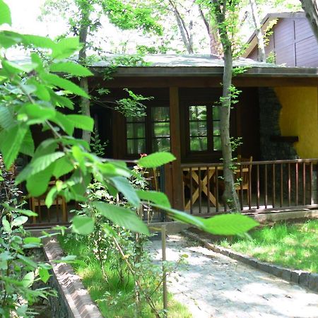 Dolunay Fanizan Hotel Fatsa Kültér fotó