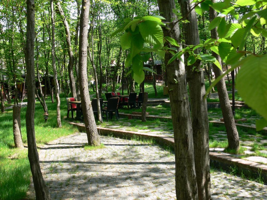 Dolunay Fanizan Hotel Fatsa Kültér fotó